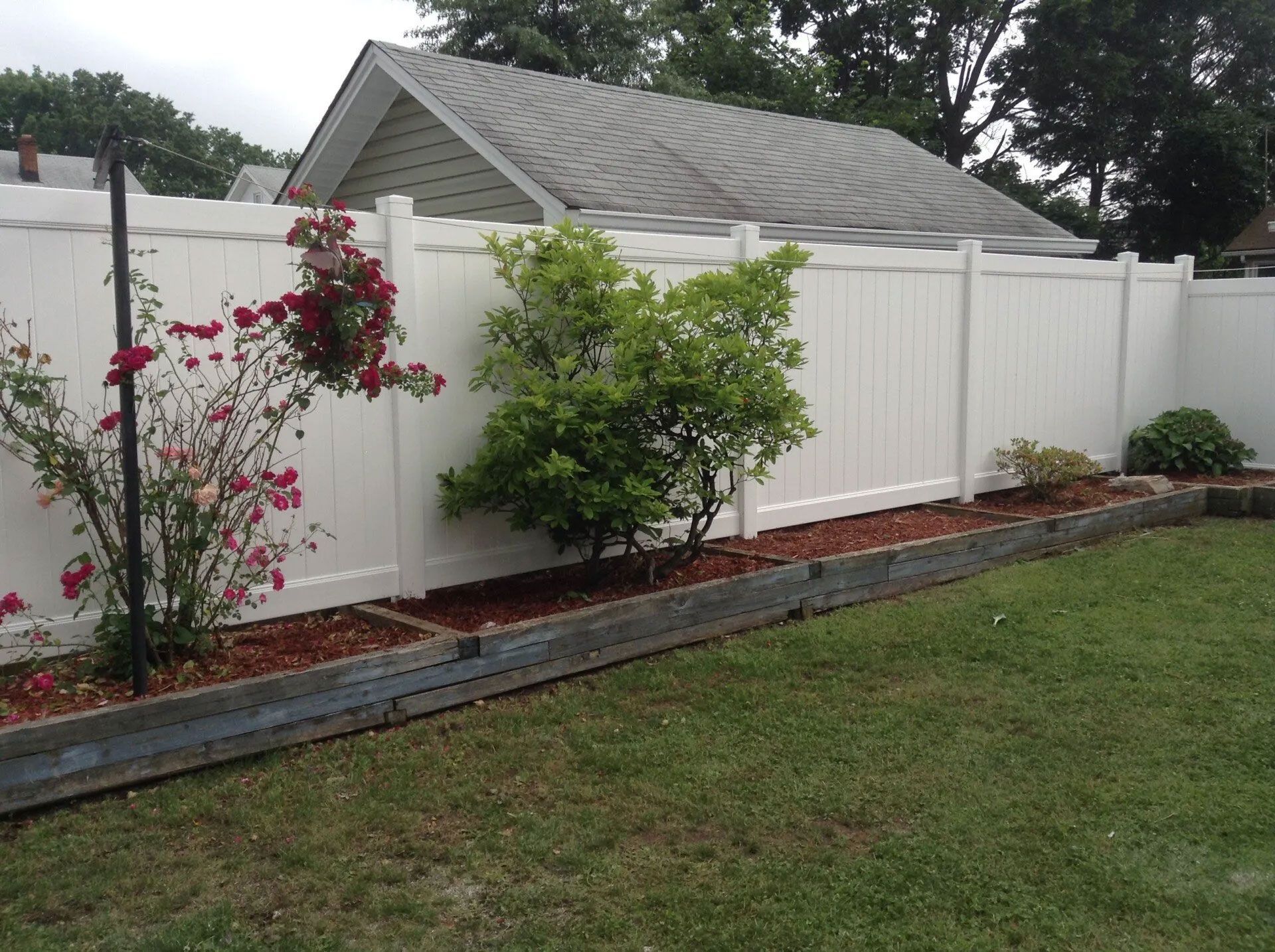 A white fence surrounds a lush green yard with a house in the background.