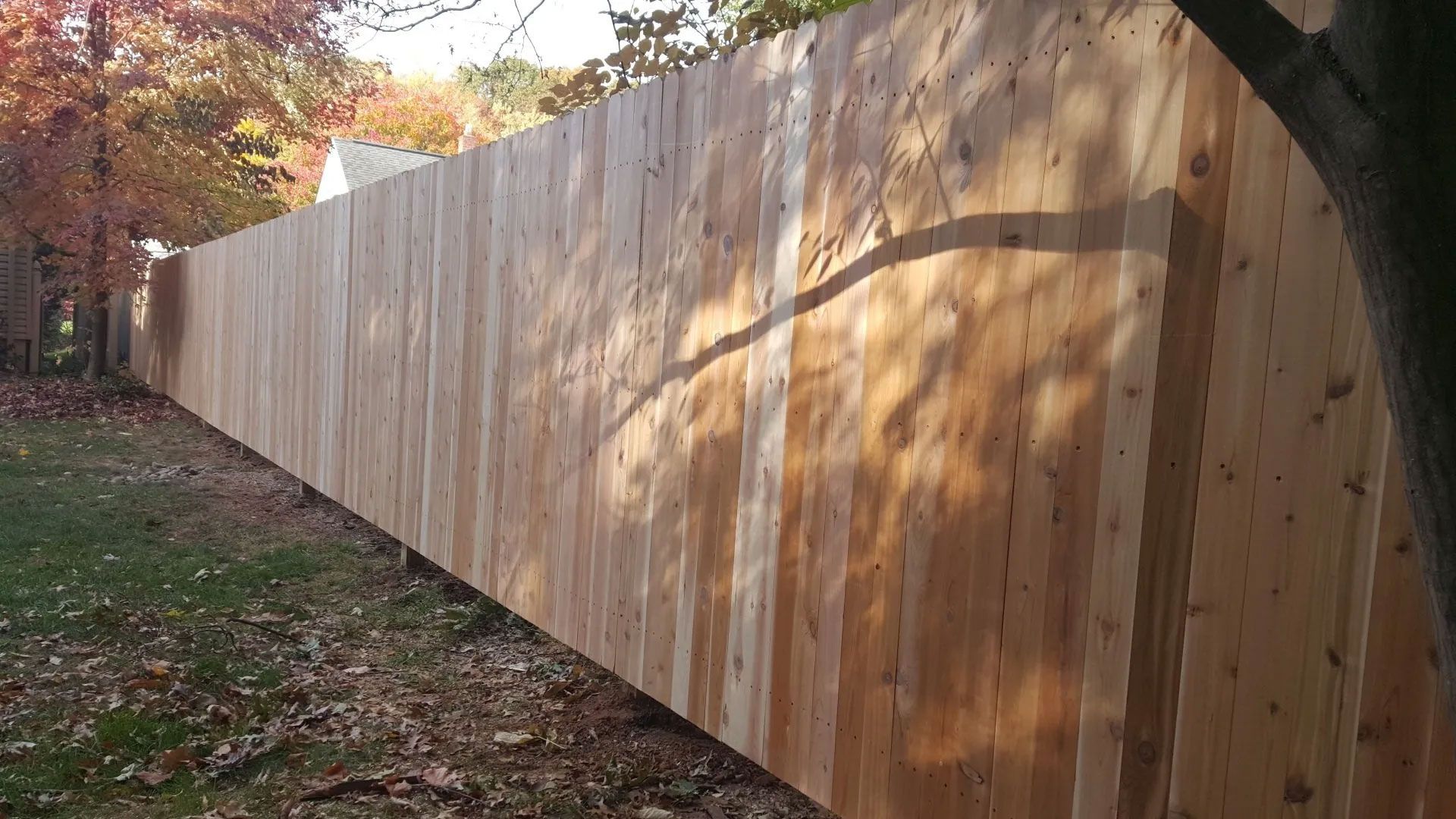 A long wooden fence is surrounded by trees in a backyard.