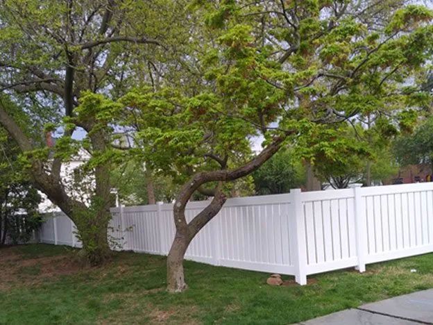 A white fence with a tree in front of it.