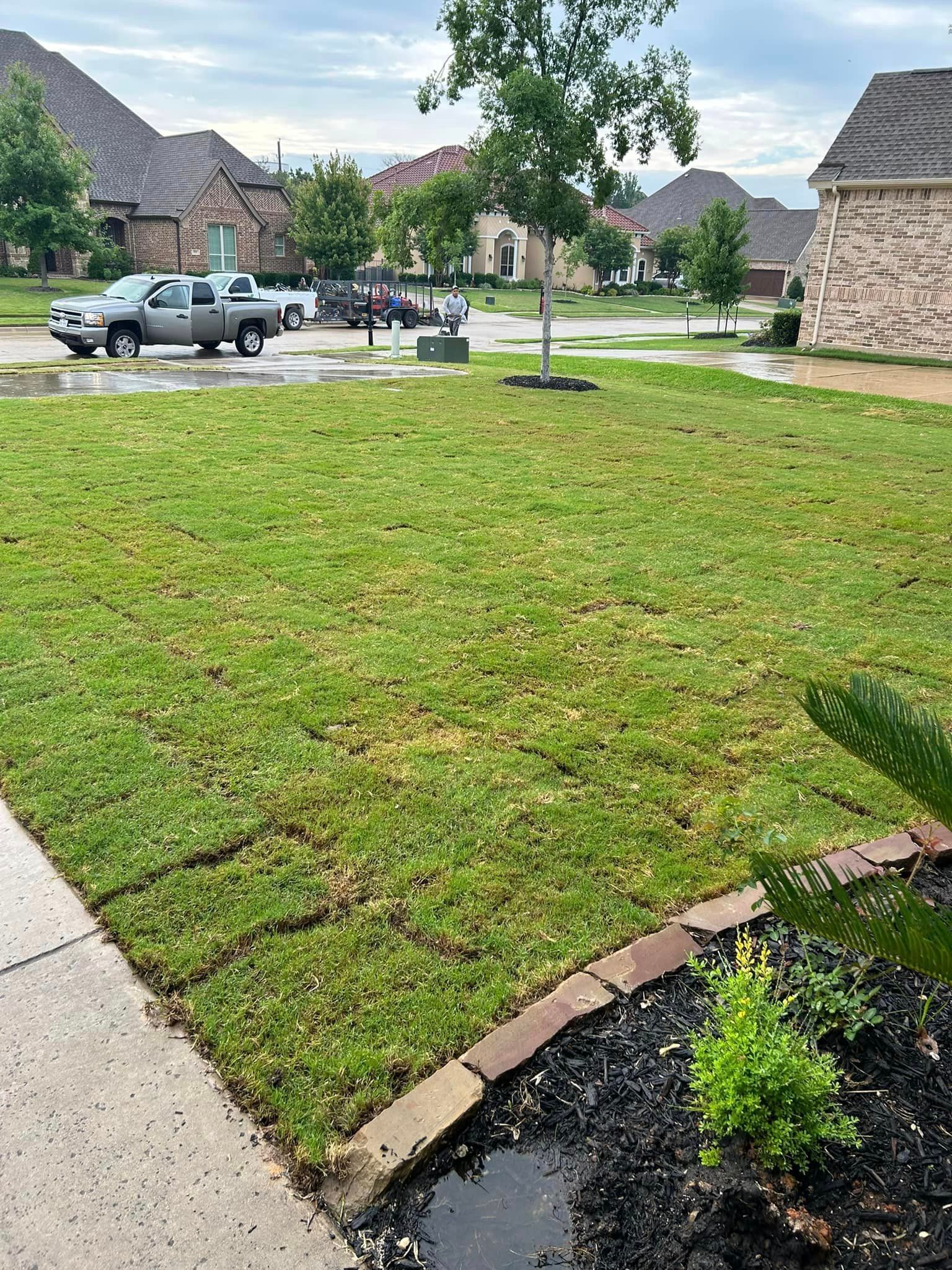 Recent landscaping work