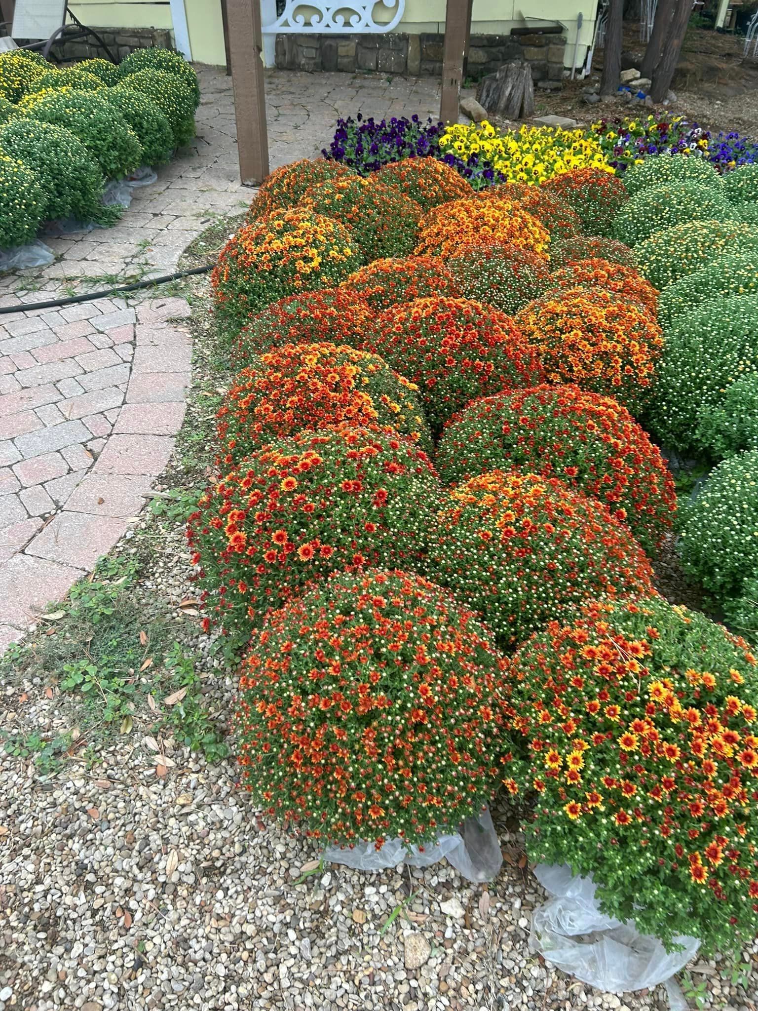 Recent landscaping work