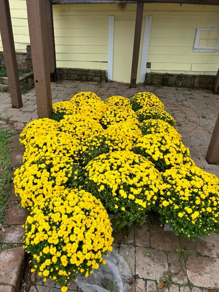 Recent landscaping work