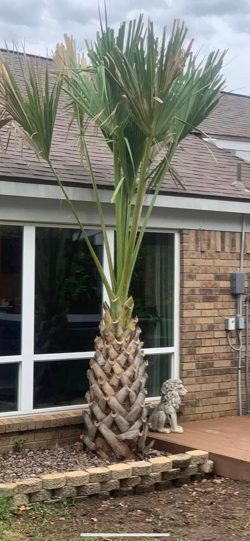 Recent landscaping work