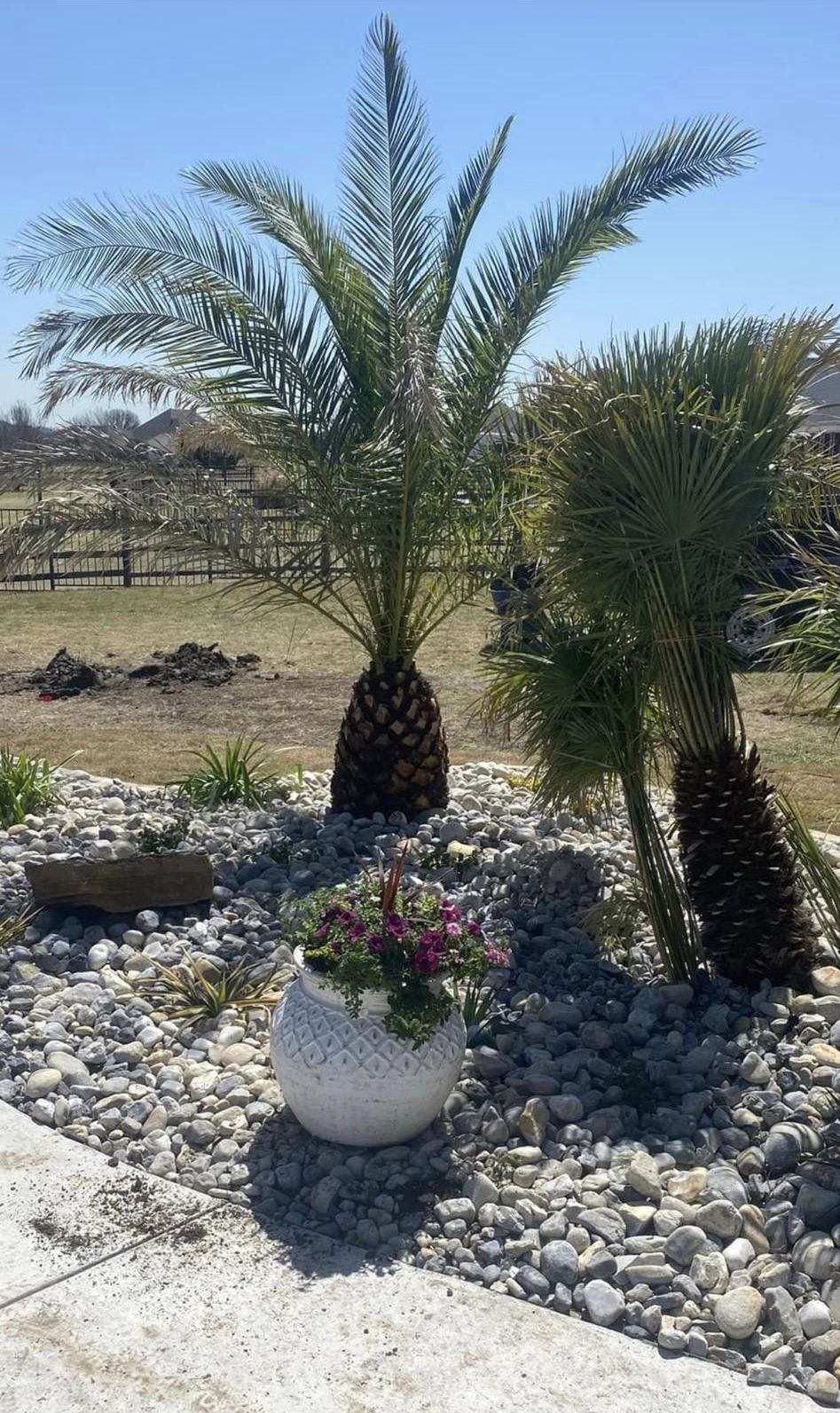 Recent landscaping work