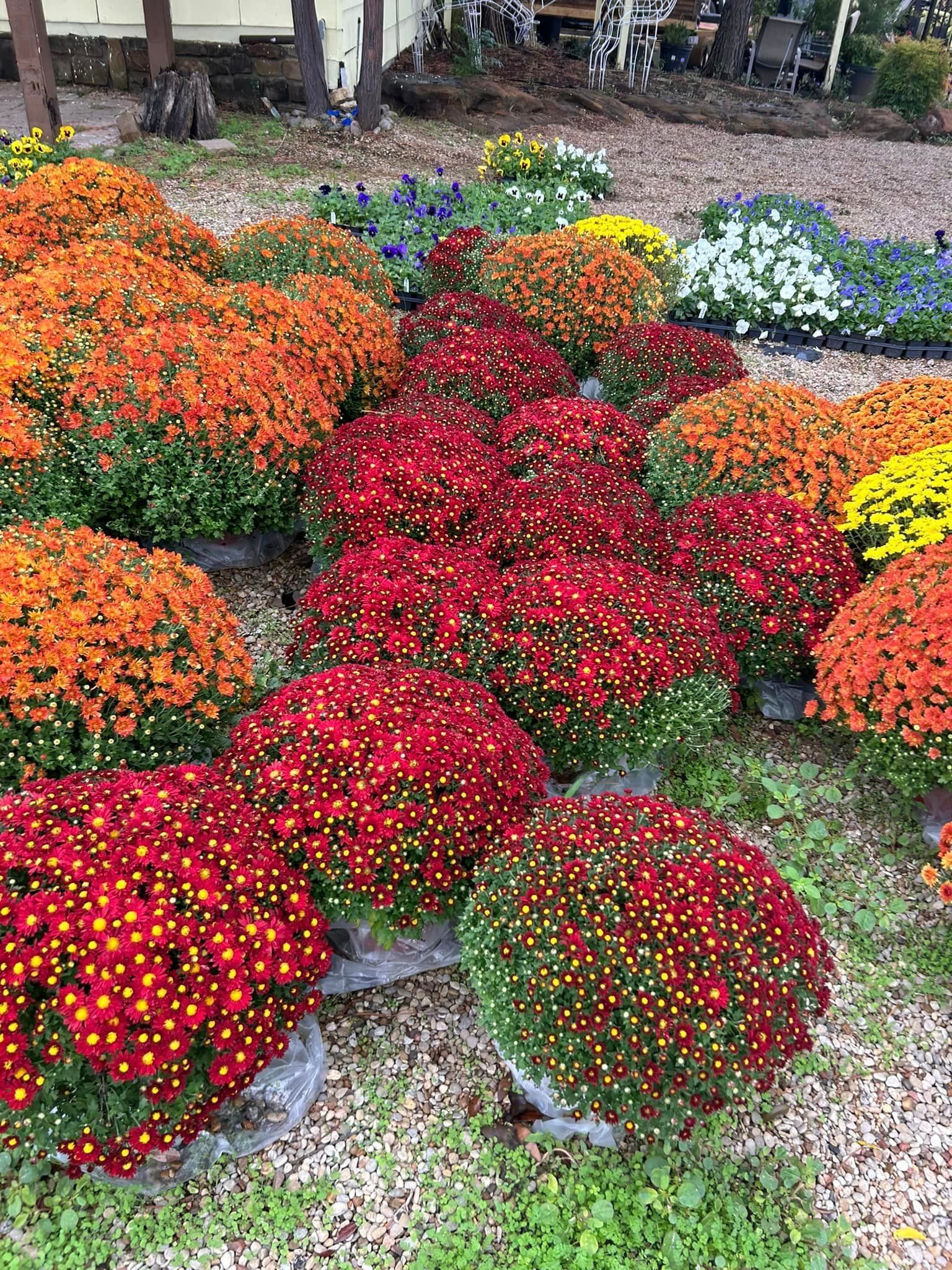 Recent landscaping work