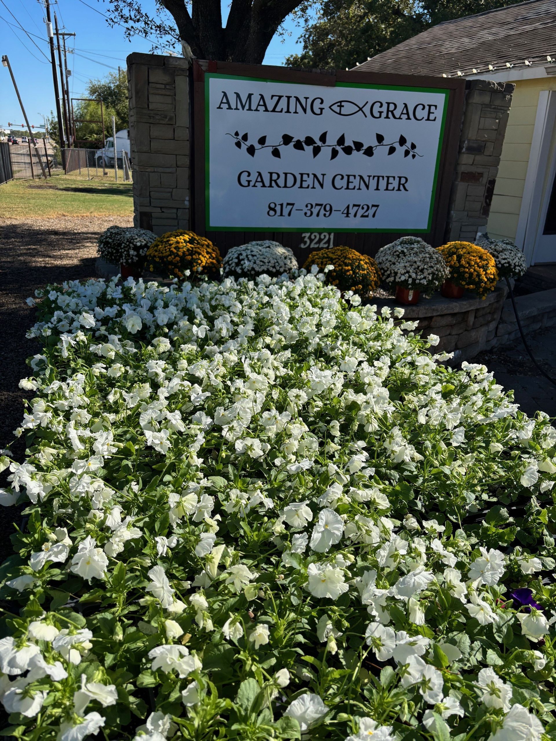 Amazing Grace Garden Center sign with white and yellow flowers.