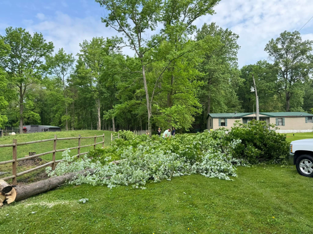 A white truck is parked in front of a tree that has been cut down.