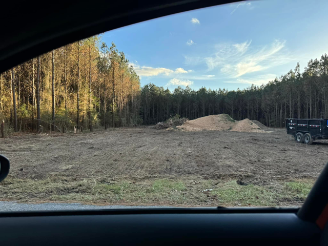 A car is driving down a dirt road next to a forest