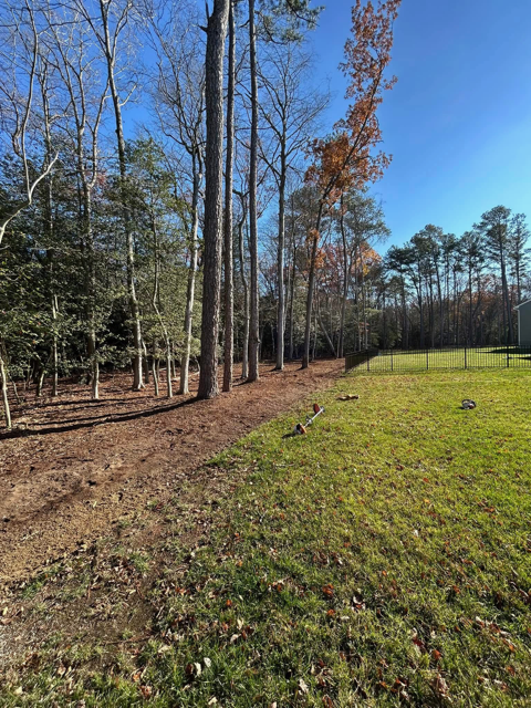 A lush green field with trees