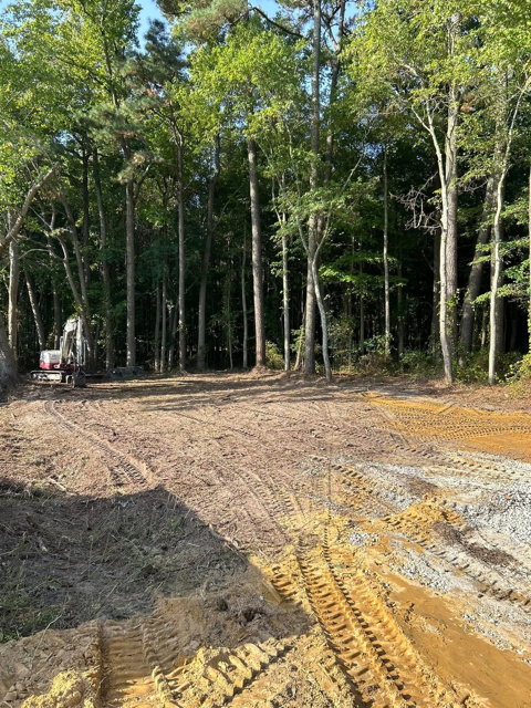 A bulldozer is driving through a dirt field in the middle of a forest