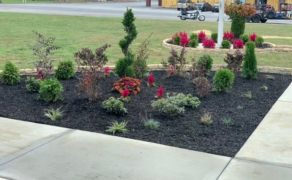 A lawn with a lot of plants and flowers in it.