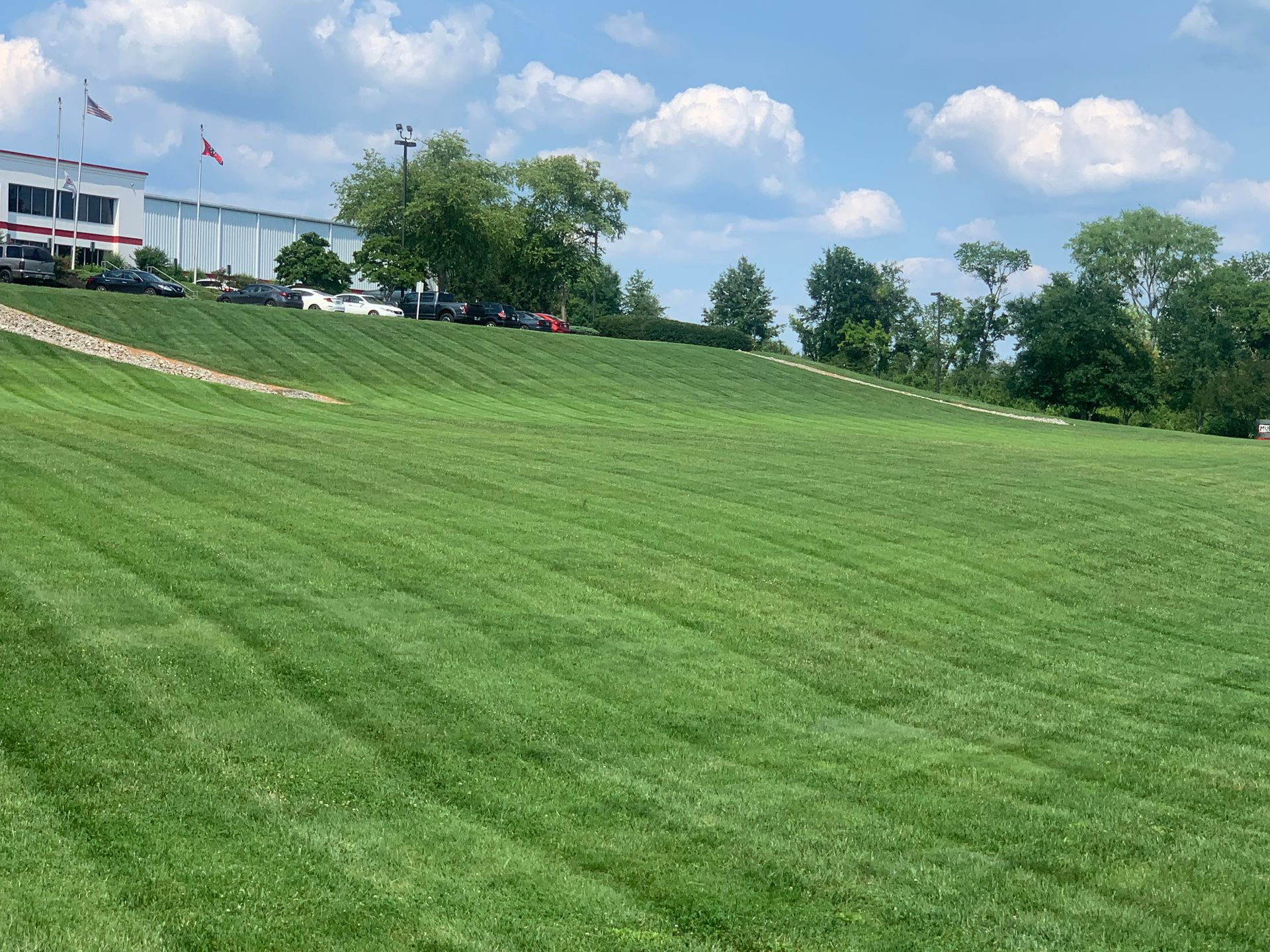 A large lush green field with a building in the background.