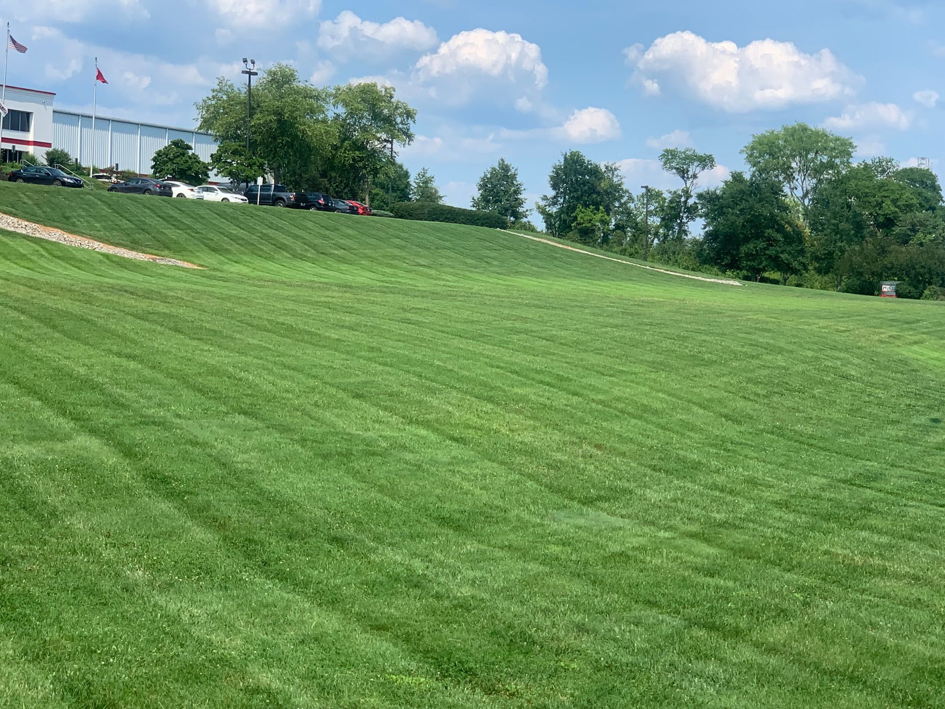 A large lush green field of grass is sitting on top of a hill.