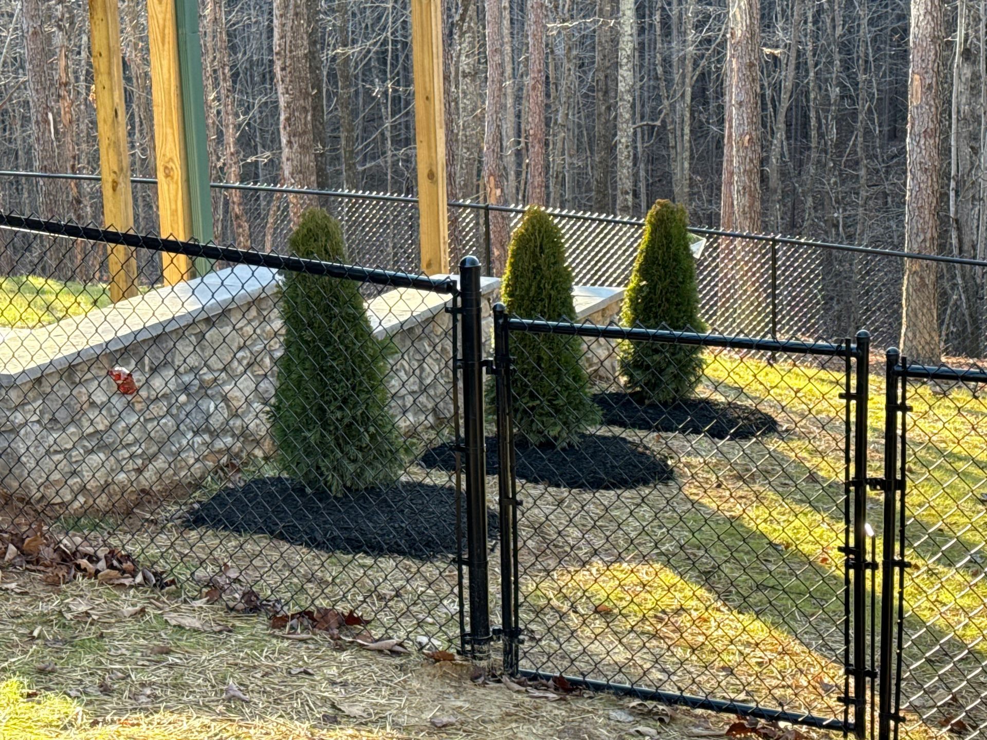A garden with flowers and trees in front of a building.
