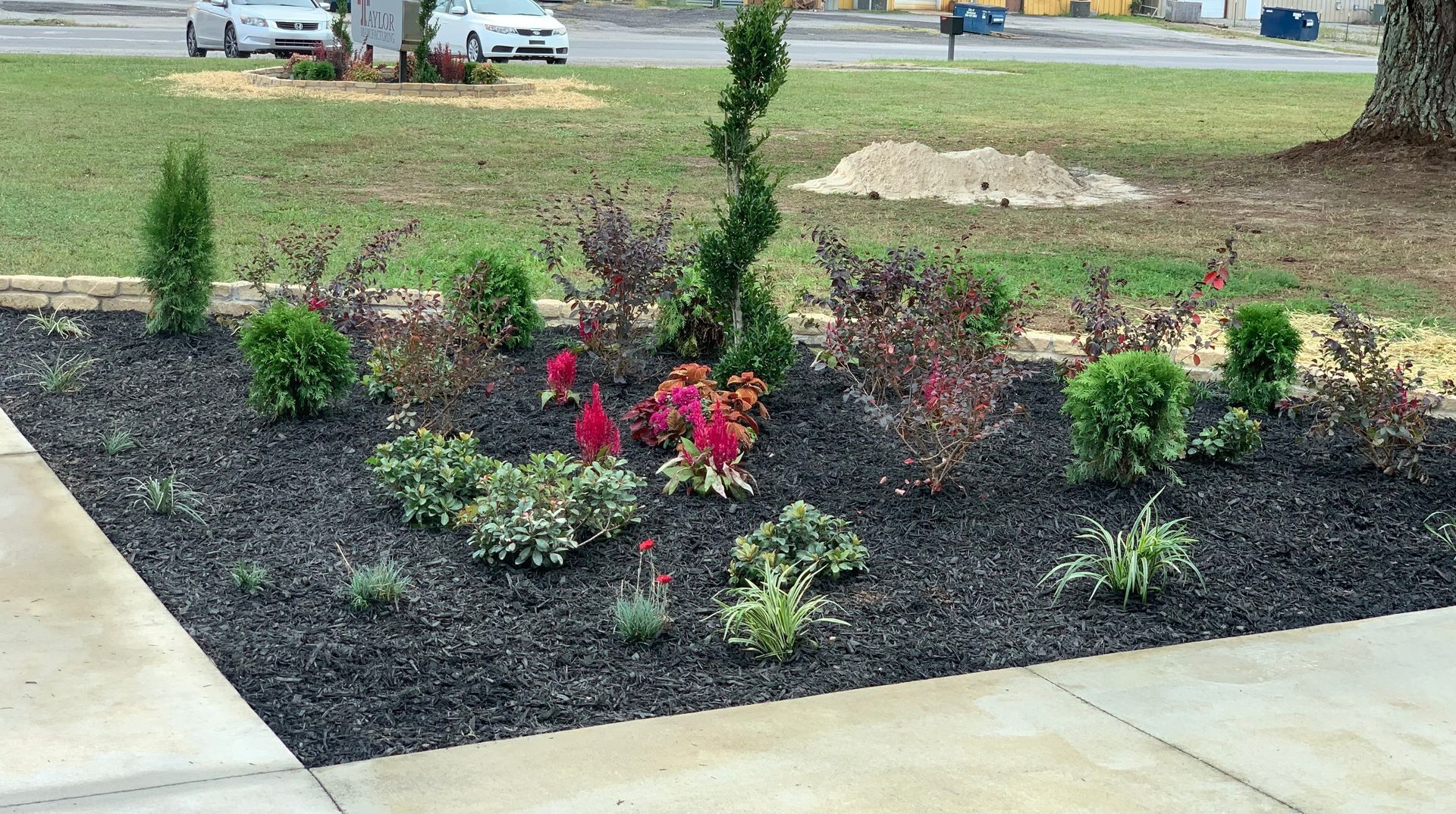 A garden with flowers and shrubs on a sidewalk with a car parked in the background.