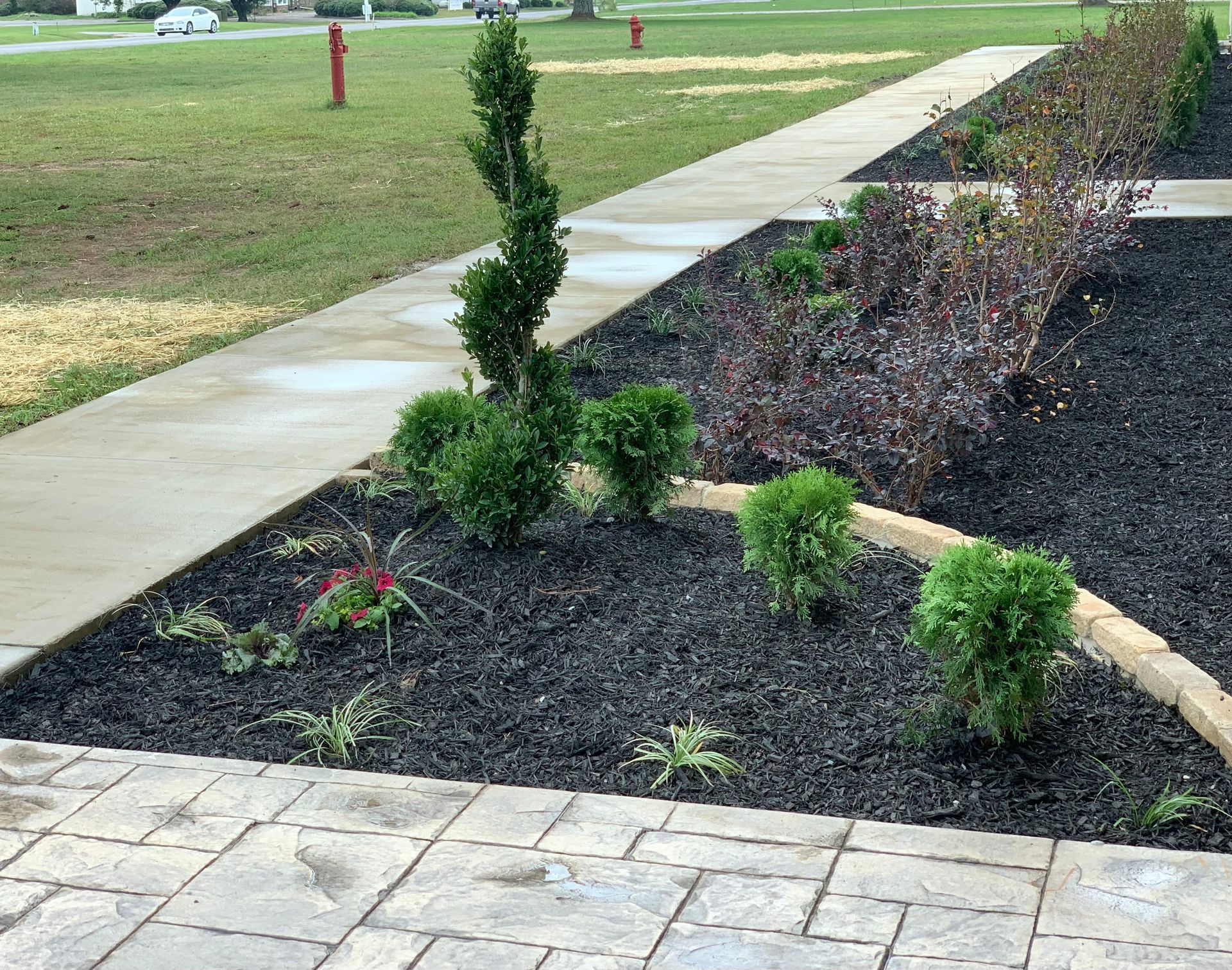 A sidewalk leads to a garden with lots of plants.
