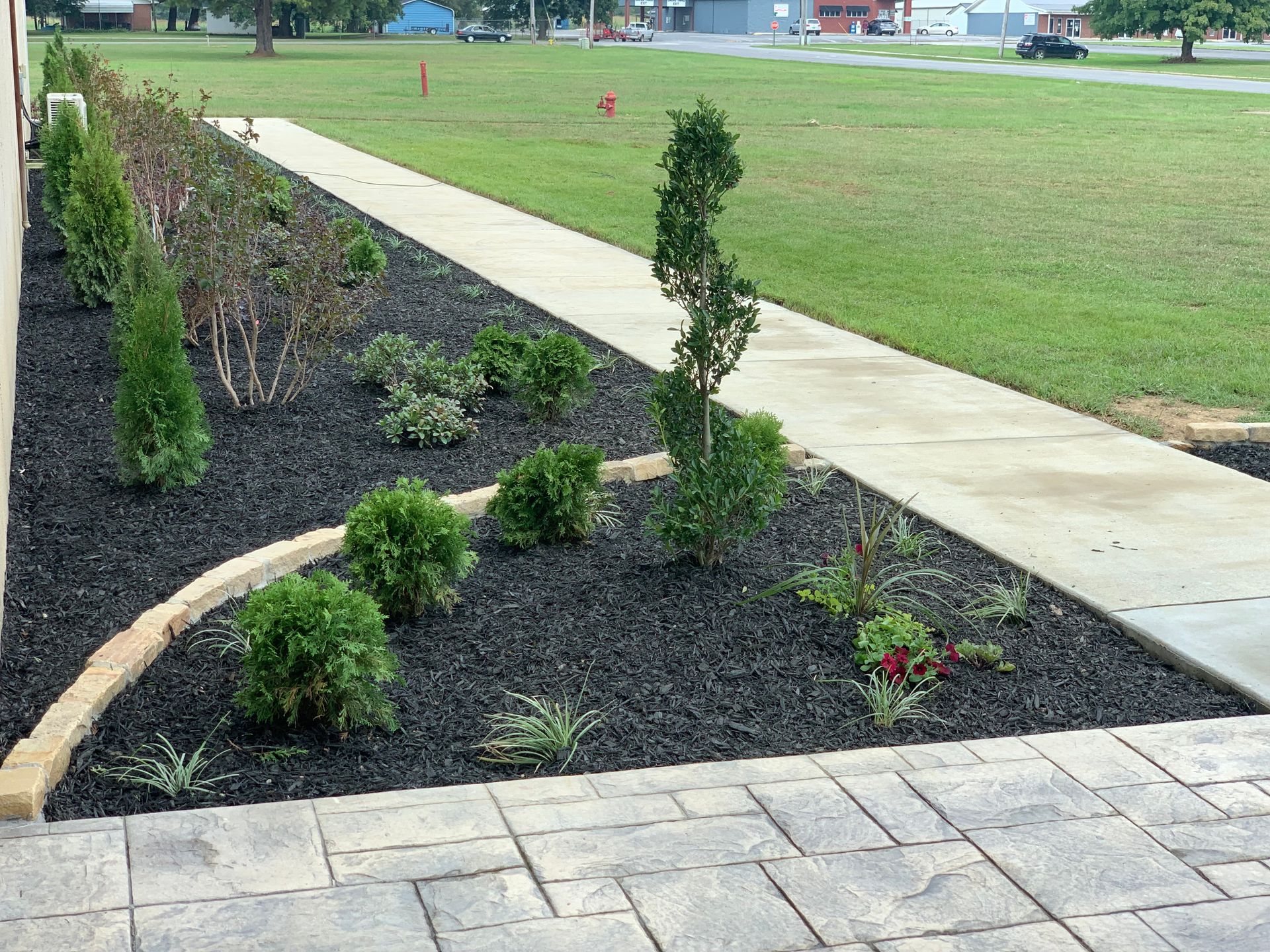 A sidewalk with a lot of plants on it.