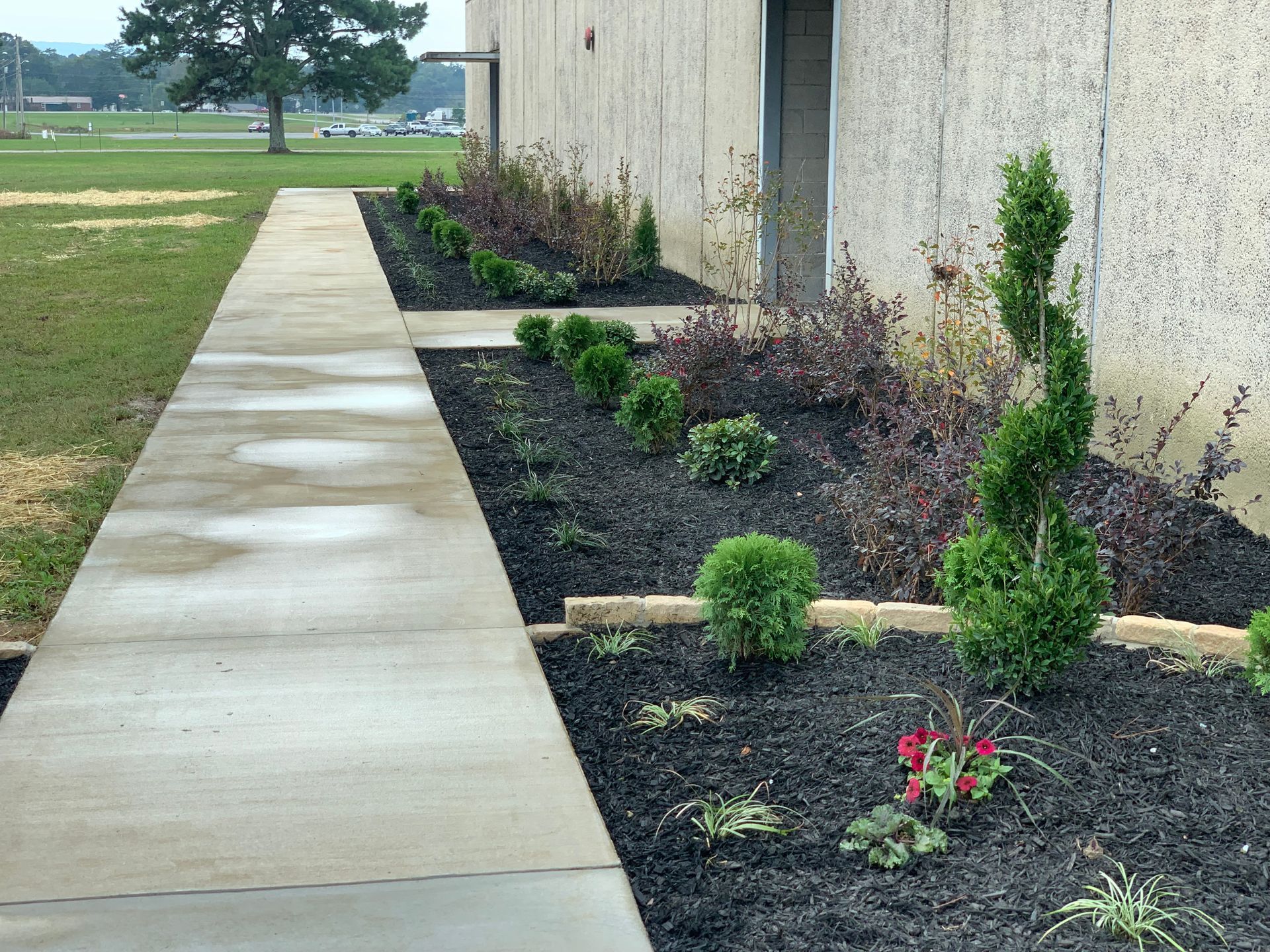 A concrete walkway with a row of plants on the side of it.