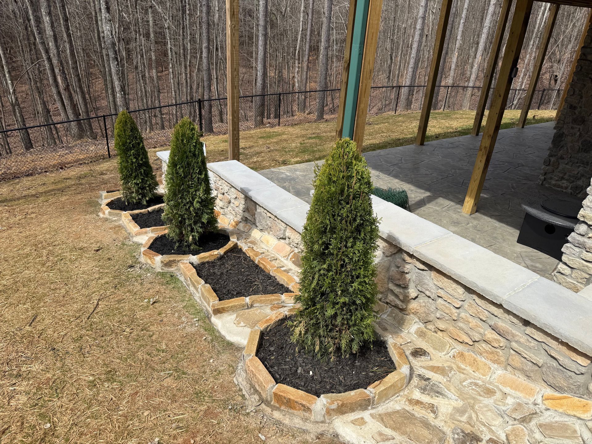 A row of trees sitting on top of a stone wall.