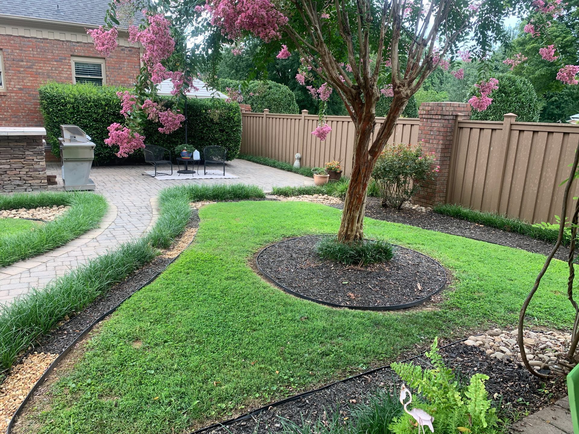 There is a tree in the middle of the lawn in the backyard.