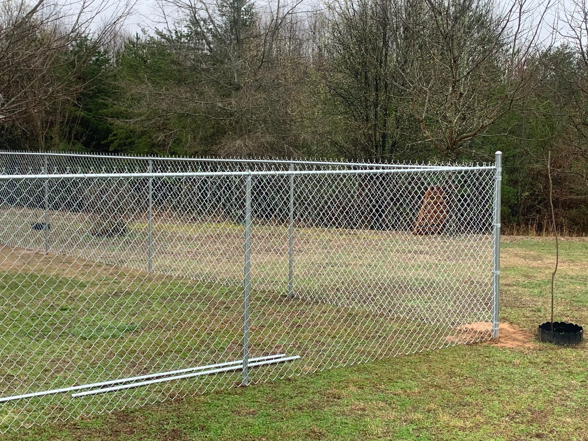 A chain link fence is sitting in the middle of a grassy field.