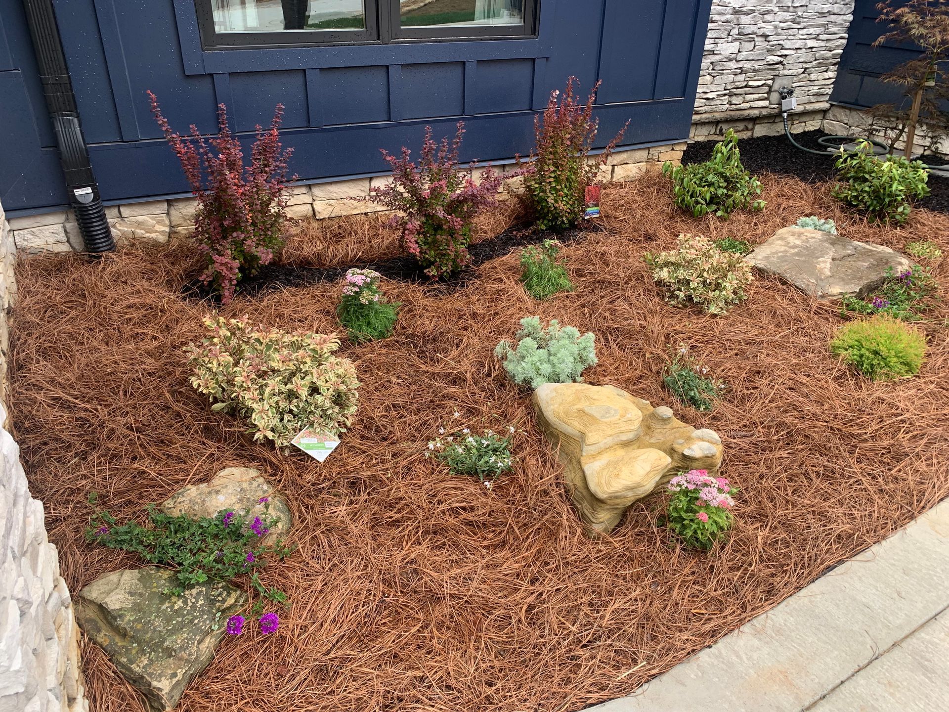 A road going through a forest with trees on both sides.