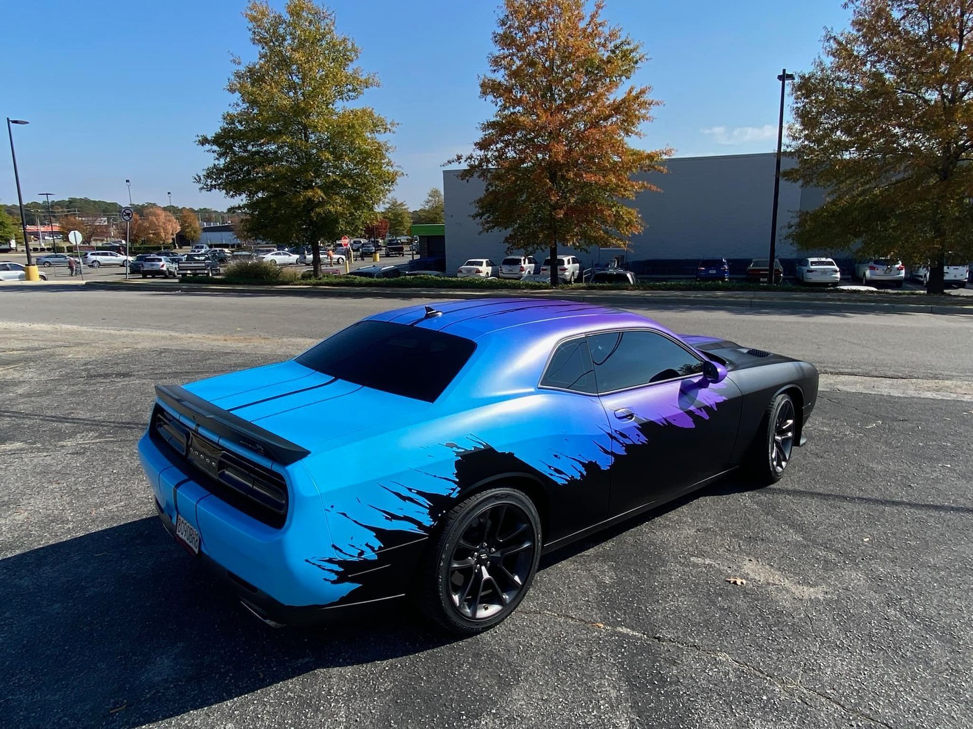 Custom Car Wrap Back Side