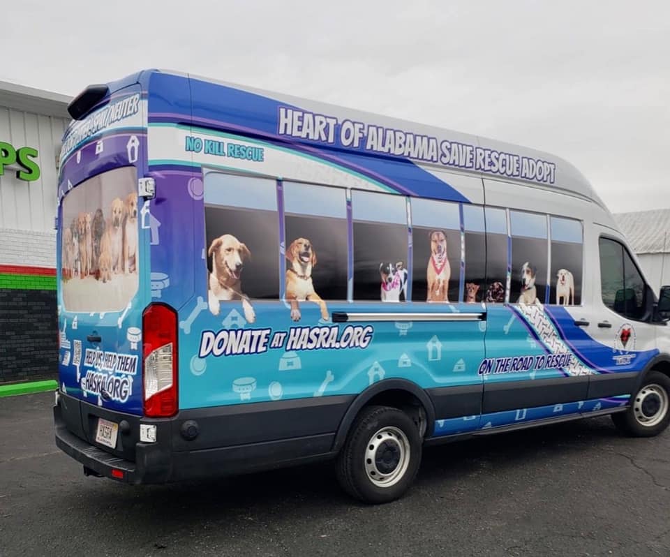 A blue and white van with dogs on the side is parked in front of a building.