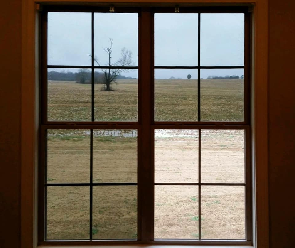 A window with a view of a field and a tree