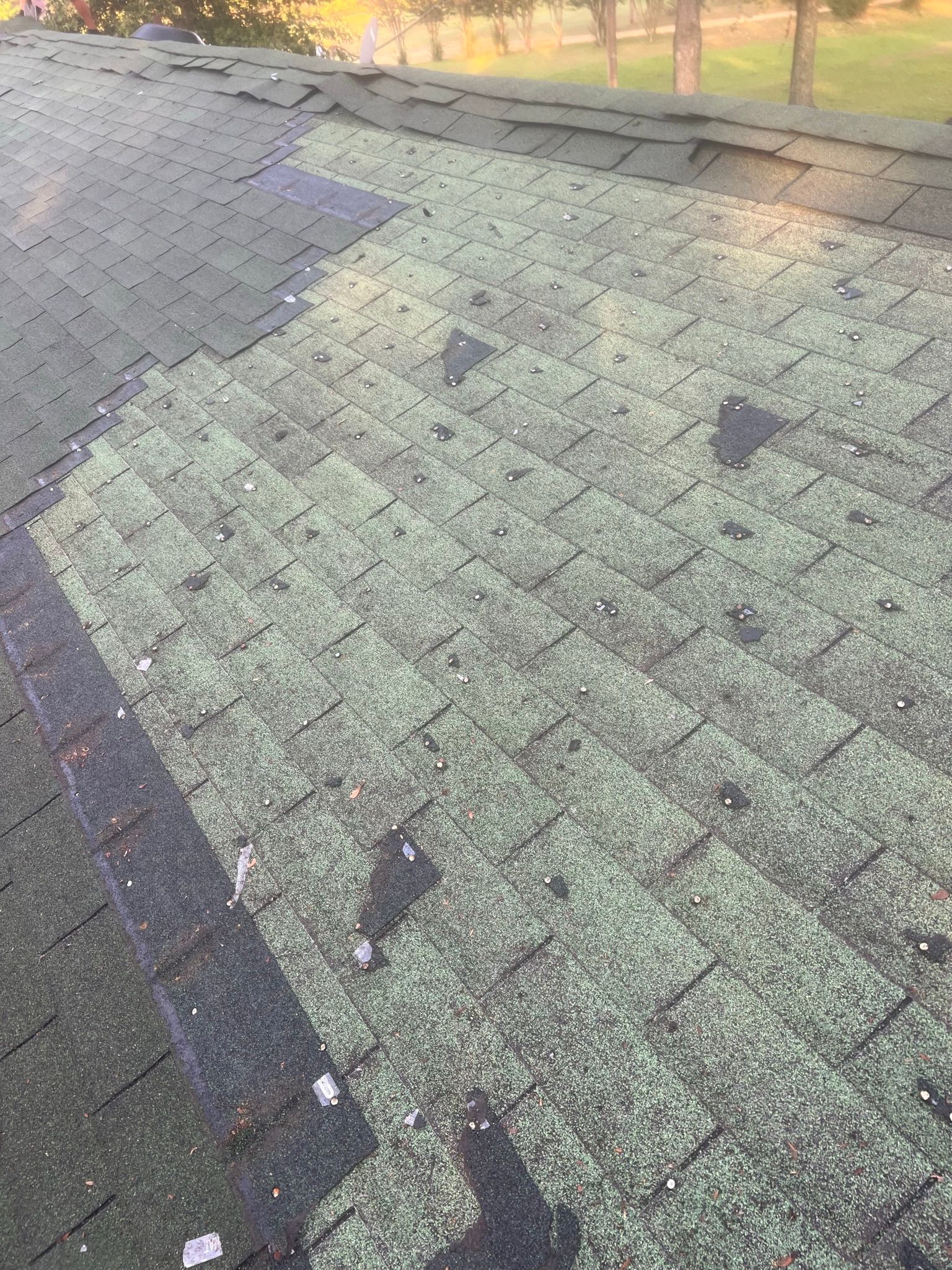 Asphalt shingle roof with extensive moss growth, patches of missing granules, and signs of wear.