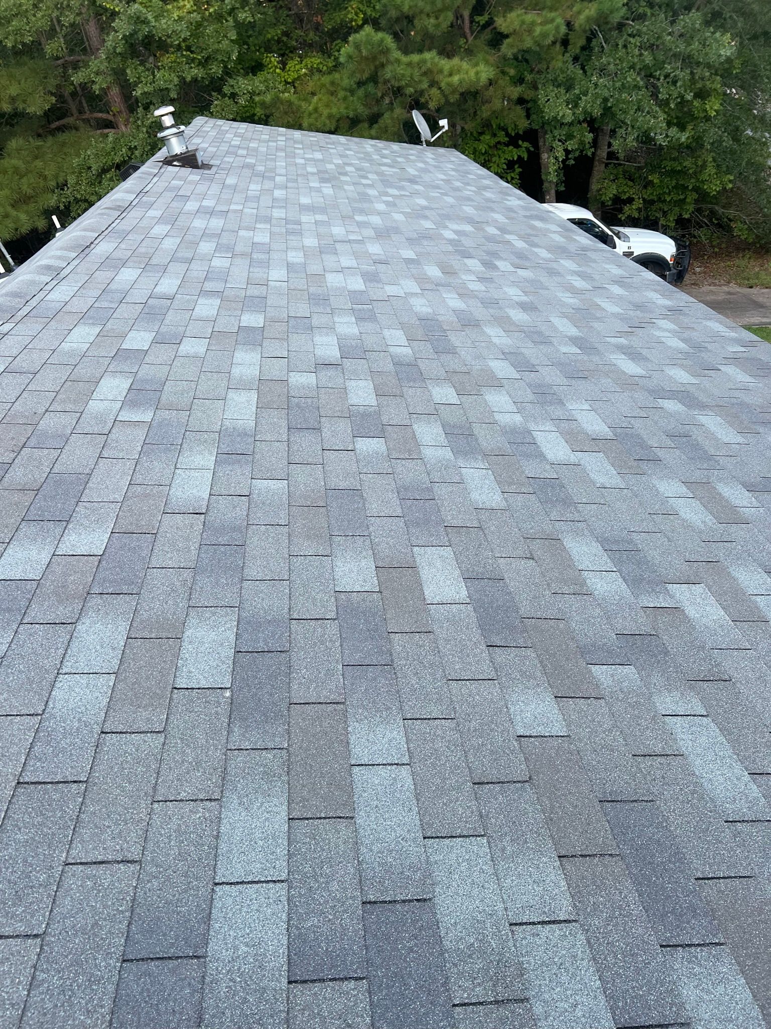 Asphalt shingle roof, varying shades of gray, extending into a tree-lined background.