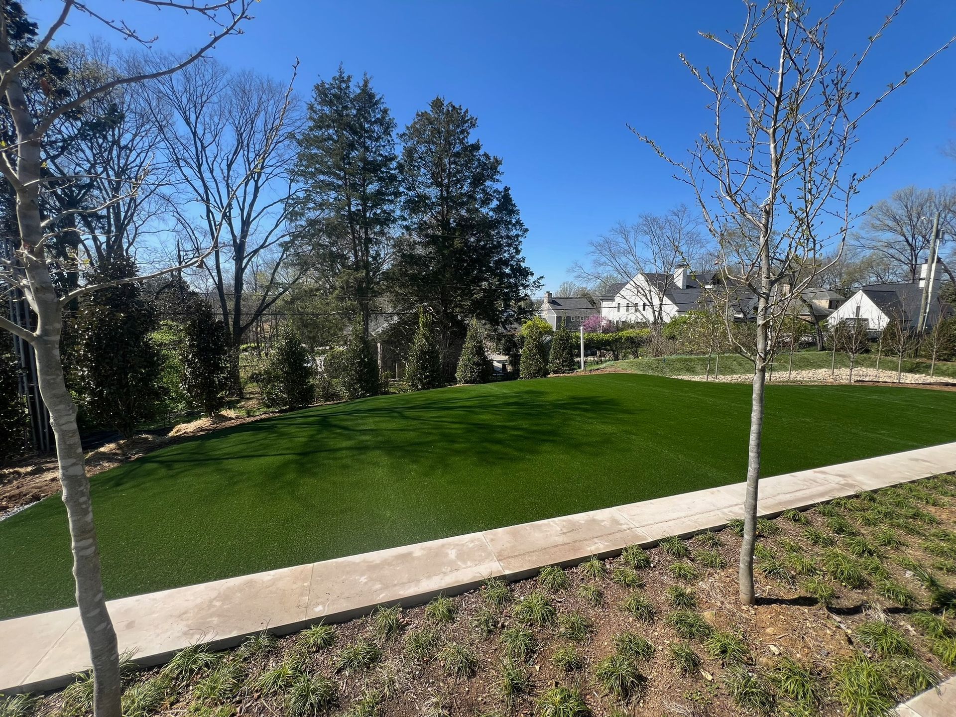 A lush green field with trees and a path in the background.