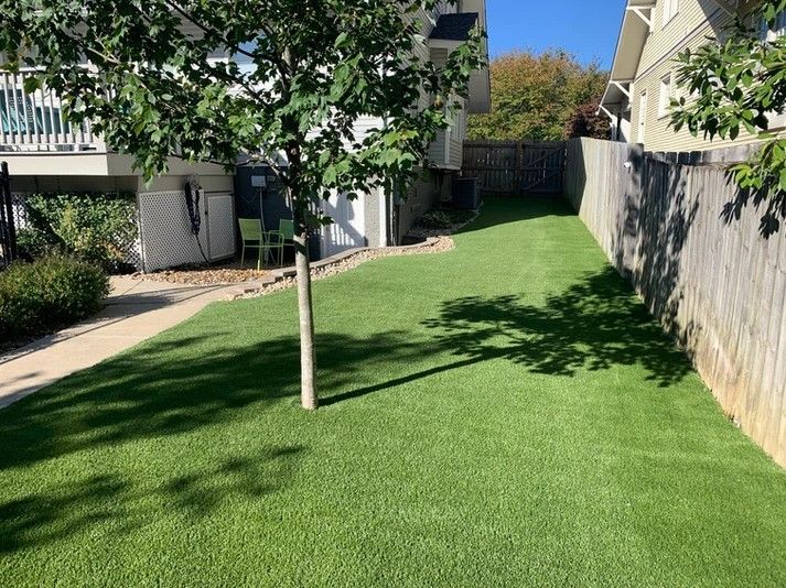A backyard with a fence and a tree in the middle of it.