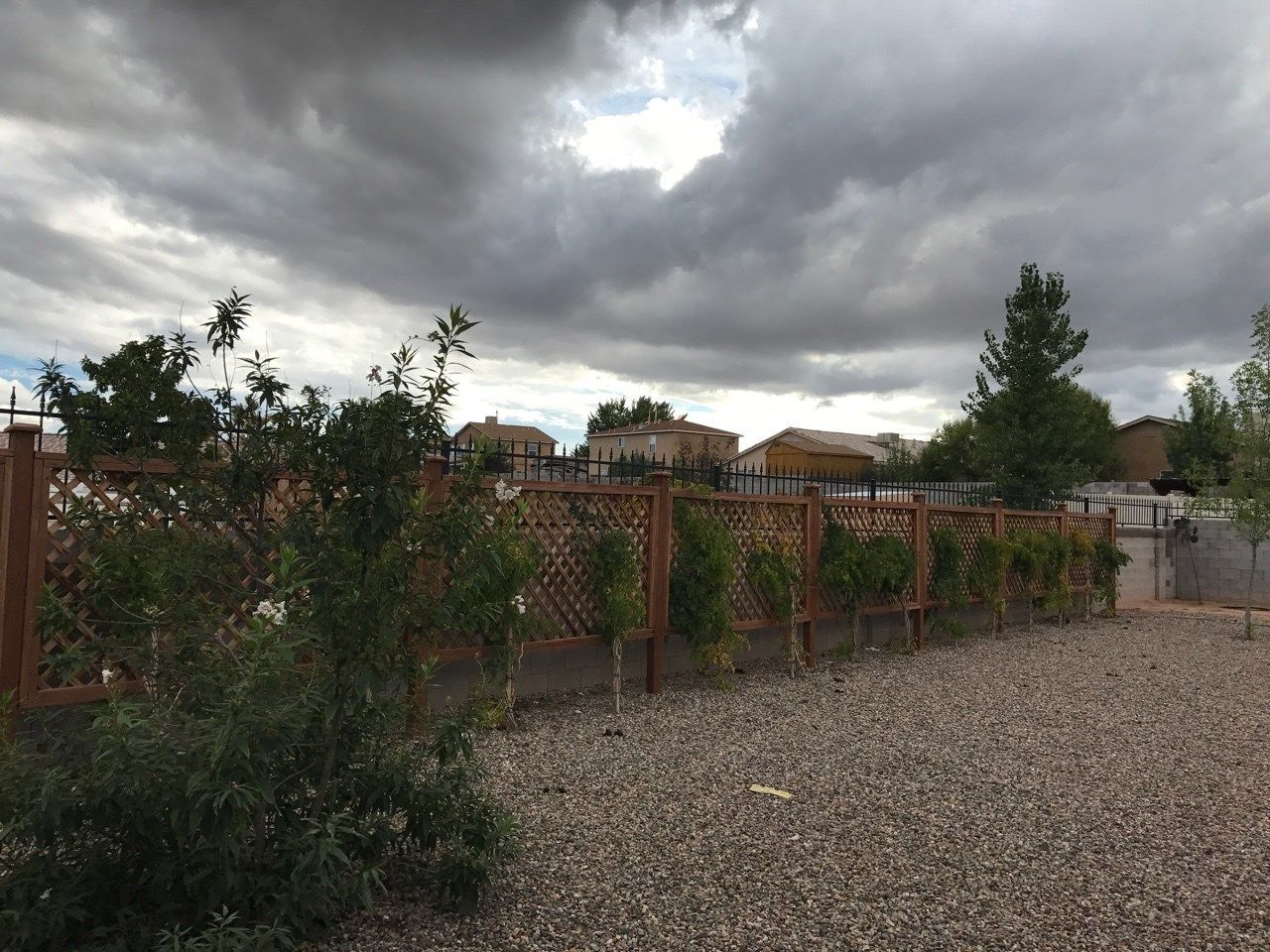 a fence with trees in front of it