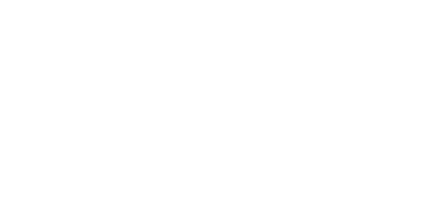 W.A.P. Painting LLC -  Logo 