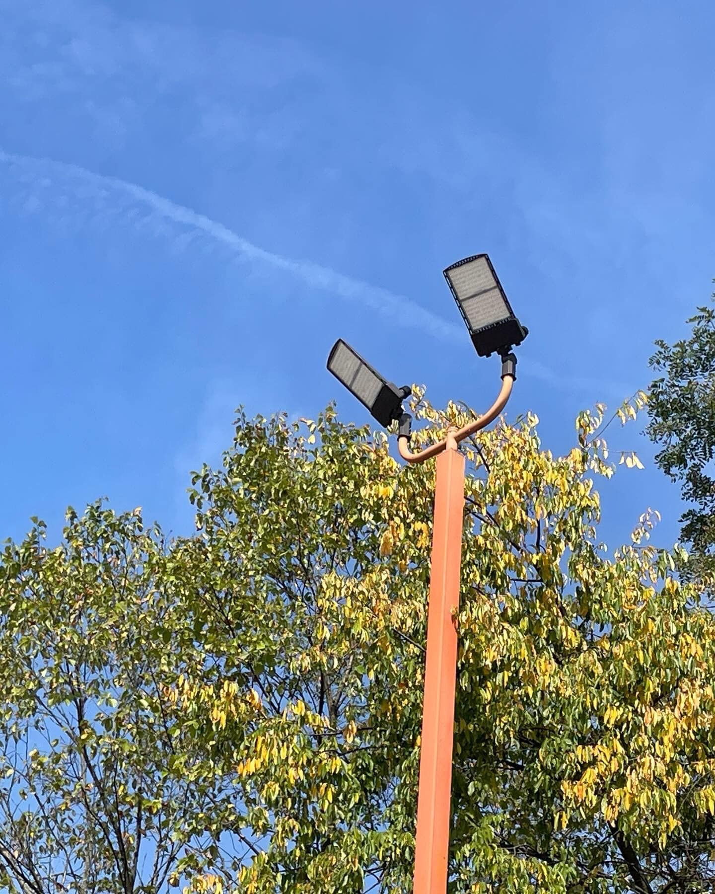 Orange pole with two bright rectangular lights against a blue sky with tree foliage.
