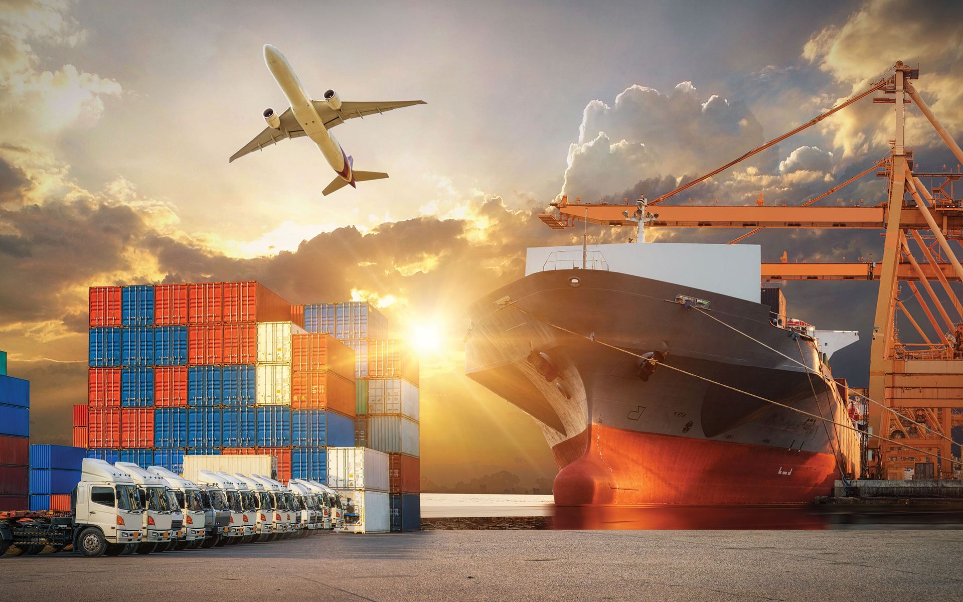 International moving