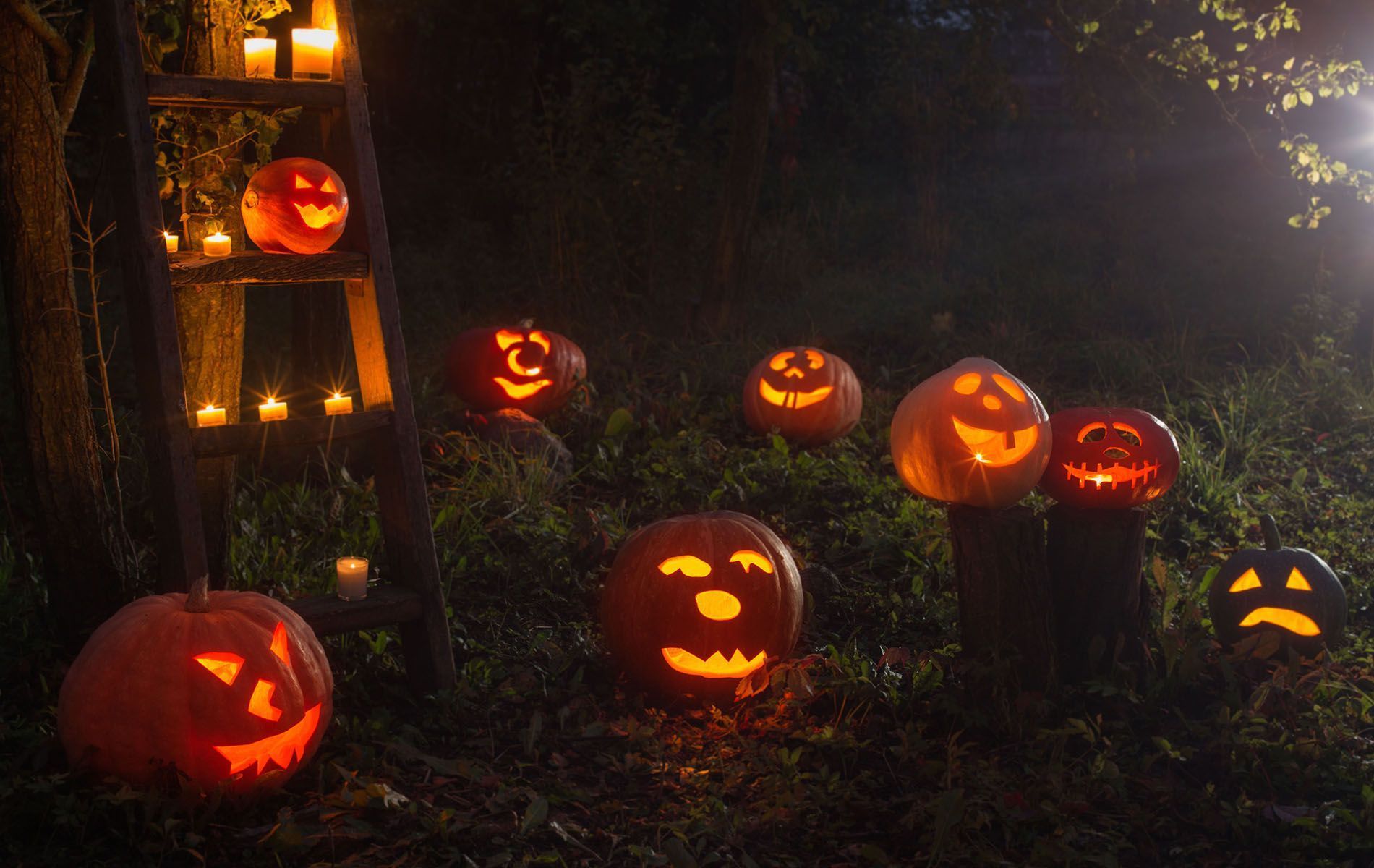 A bunch of carved pumpkins are sitting in the grass at night.