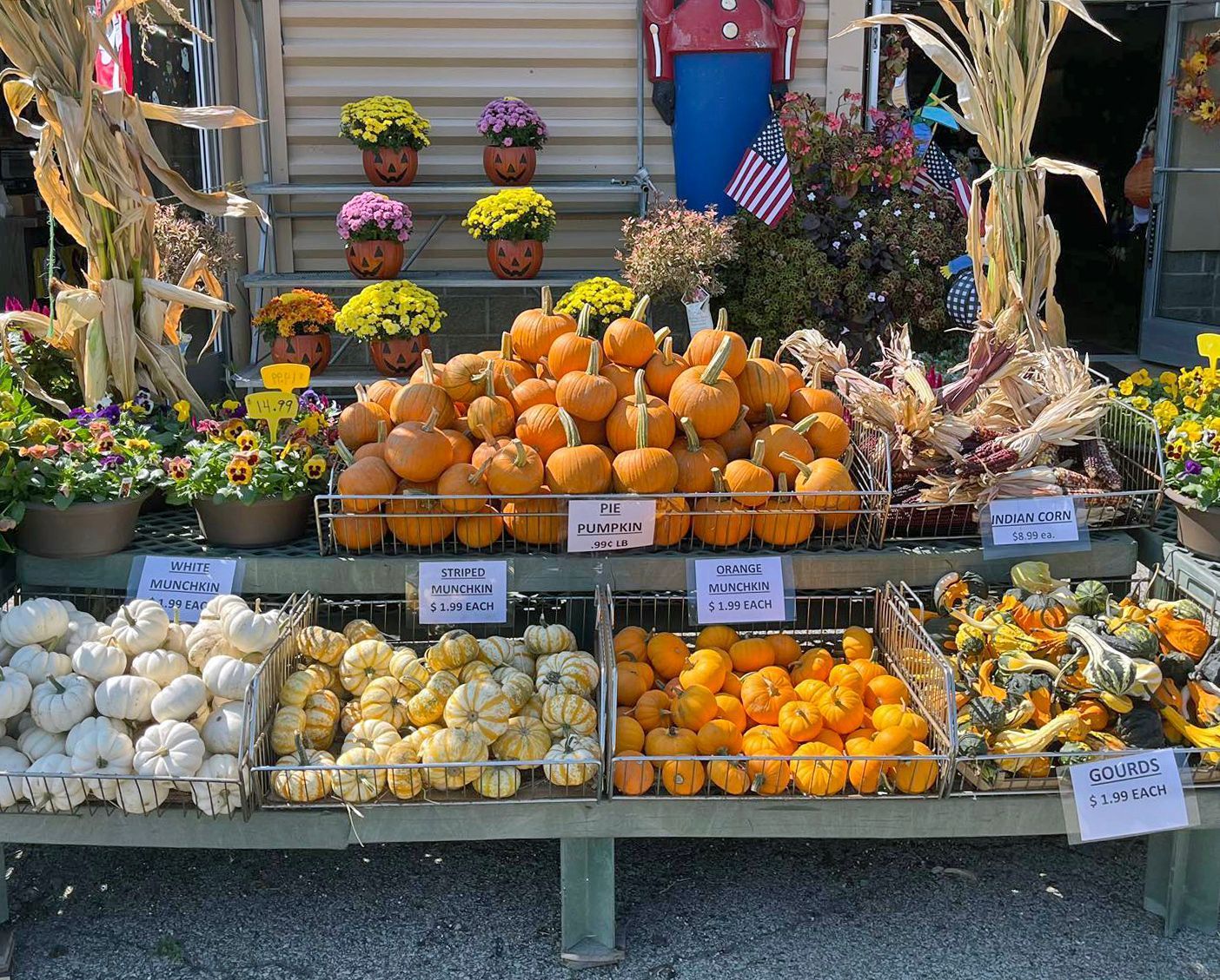 A variety of pumpkins and gourds are on display