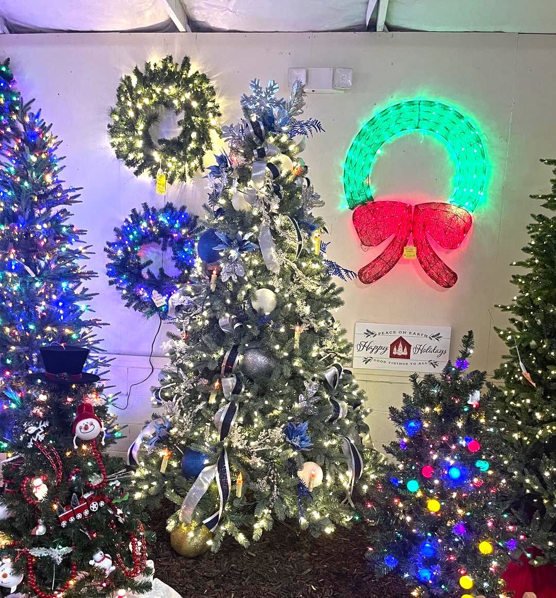 A room filled with lots of christmas trees and wreaths.
