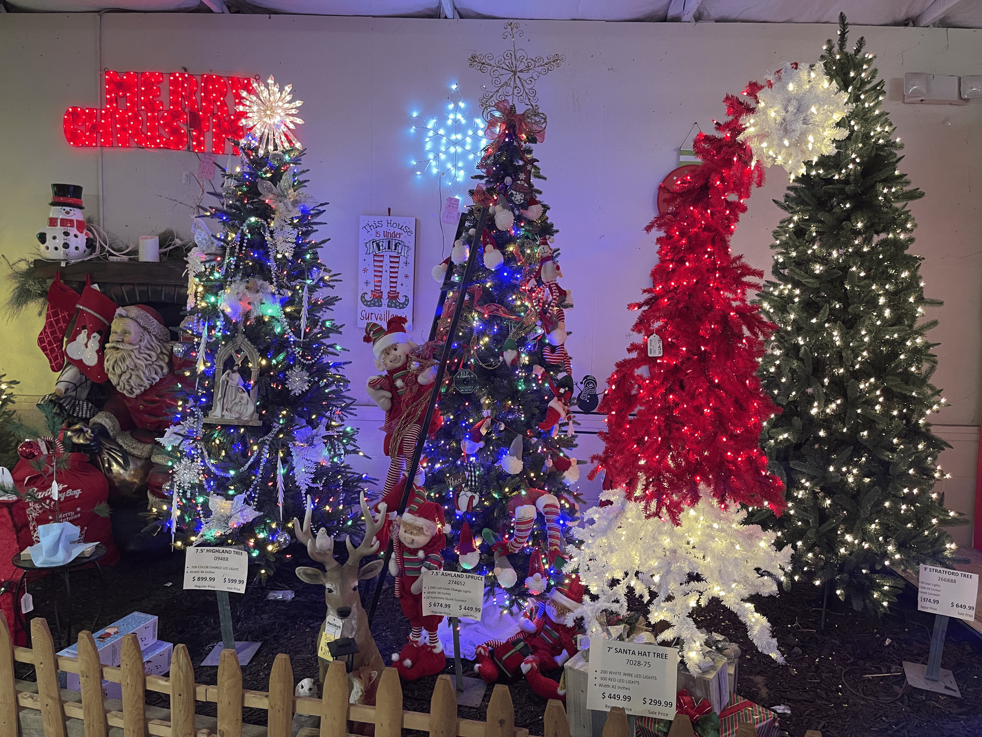 A group of christmas trees are sitting next to each other in a room.
