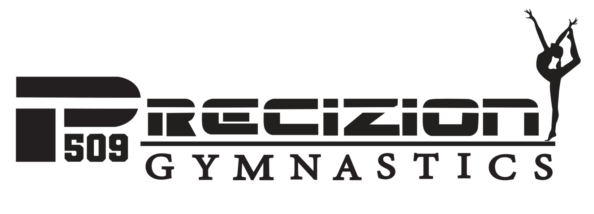 Precizion Gymnastics