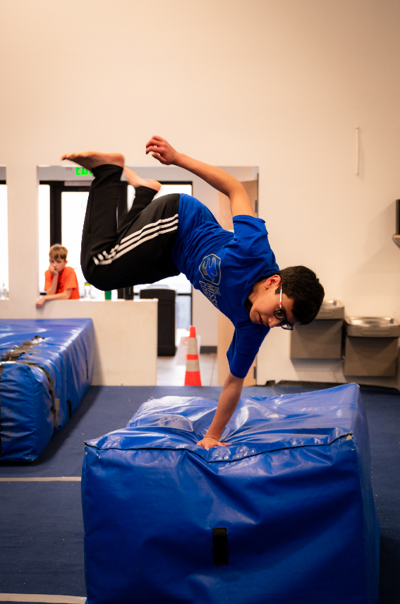 Person doing a handstand on a blue mat. They are wearing a blue shirt and black pants indoors.