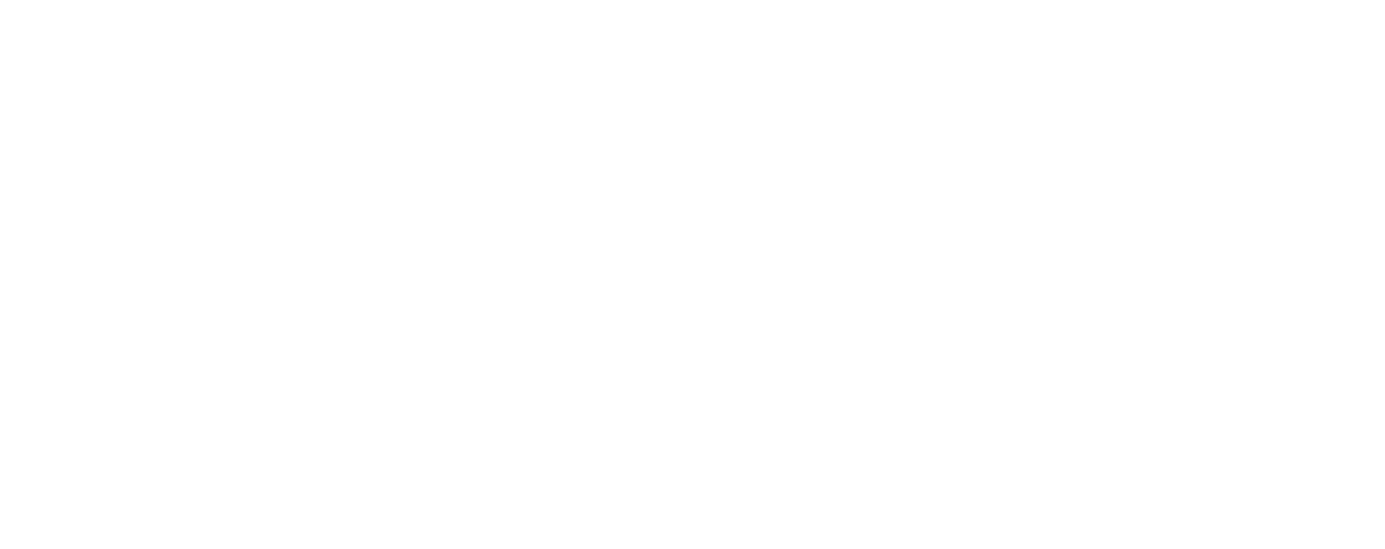 Precizion 509 Gymnastics - logo