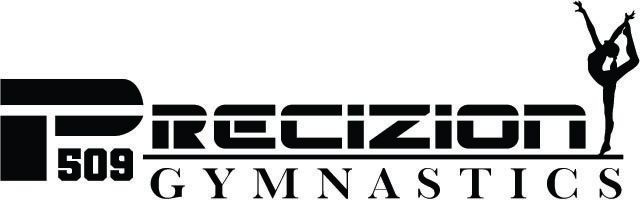 Precizion 509 Gymnastics - logo