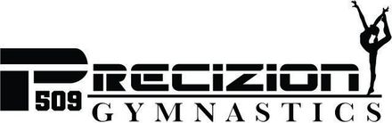 Precizion 509 Gymnastics - logo