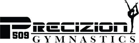 Precizion 509 Gymnastics - logo