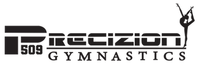 Precizion 509 Gymnastics - logo