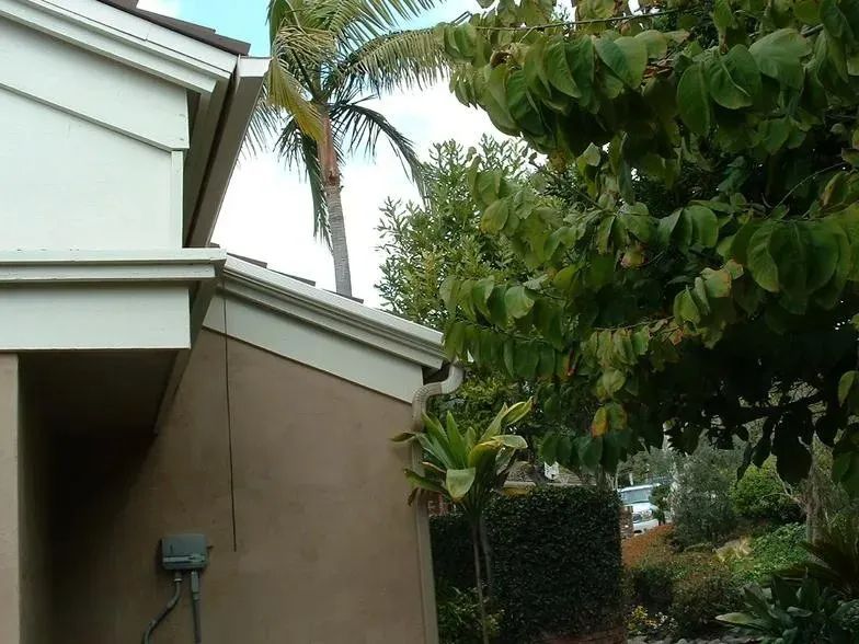 A house with a palm tree in the background