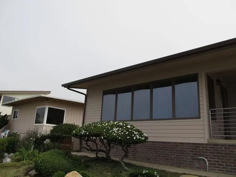 A house with a lot of windows and a tree in front of it